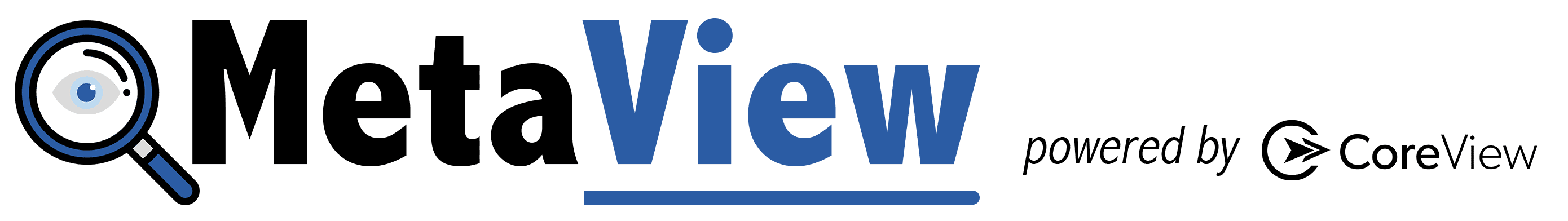 MetaView Logo